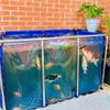 Above-Ground Fish Pond Liner with Steel Frame and Clear Window, 50 x 40 x 30 cm view 3