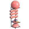 Home Gym Storage Rack - Yoga Mat and Gym Ball Holder, Wheeled Foam Roller Stand, Fitness Equipment Organizer view 1