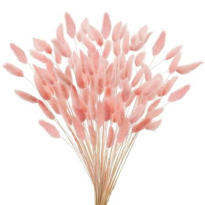 Dried Pampas Grass Bouquet with Dried Bunny Tails, 20/120 Pieces, Multicolor (Light Pink, 50 Pcs)
