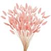 Dried Pampas Grass Bouquet with Dried Bunny Tails, 20/120 Pieces, Multicolor (Light Pink, 50 Pcs) view 1