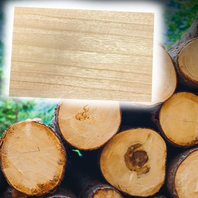 Unfinished Paulownia Wood Boards for DIY Projects