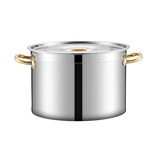CAFIEDR Stainless Steel Stock Pot, 30 L, 40 x 26 cm