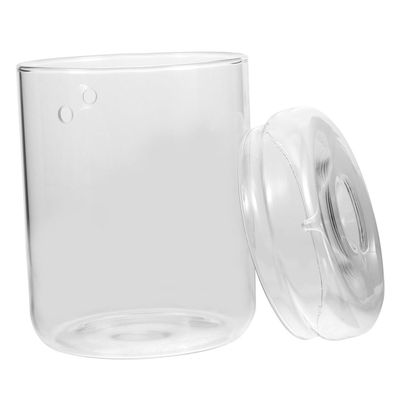 NUOBESTY Decorative Glass Bottle Micro-Landscape Terrarium