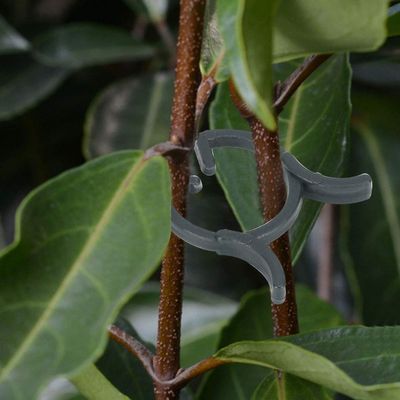RhineCart Basics 200-Piece Durable Plant Clips, 20 mm