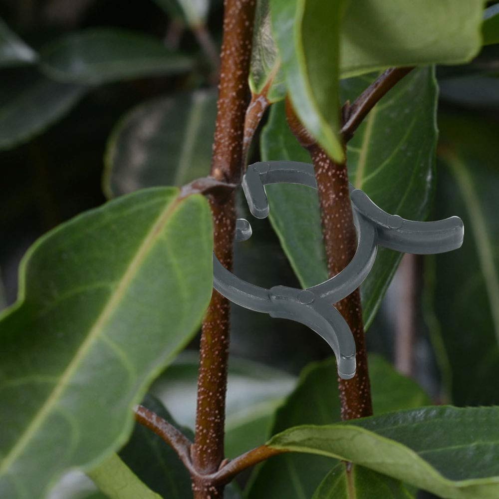 RhineCart Basics 200-Piece Durable Plant Clips, 20 mm