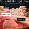 HLTQL Winter Quilt, Thick Lamb-Cashmere Quilted Blanket, Plush and Warm (02, 180 × 220 m/2.5 kg) view 2
