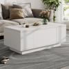 Modern Coffee Table with Dual Lift-Top Mechanism, 50 kg Capacity and Hidden Storage view 1