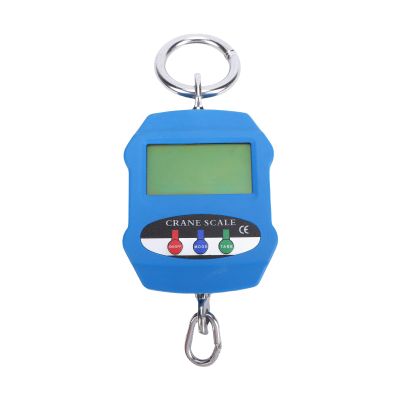 Depisuta 300 kg Digital Hanging Scale, Stainless Steel, 0.05 kg Precision, Large LED Display