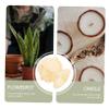DIY Hexagonal Thick-Walled Plastic Flowerpot Mold view 2