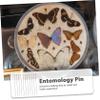 Butterfly Pins, 1 Set, Stainless Steel, Black, for Insect Specimens view 3