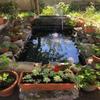 KIJyfgTR Flexible PVC Pond Liner for Fish Ponds, Waterfalls, and Fountains (5 x 5 m) view 4