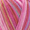 Frida's Wollhaus 100 g Fridas #21te Sock Yarn, Wool Blend, Gradient, 15 Colors (2706) view 3