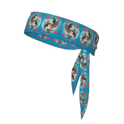 Sports Headband with Cute Otter Design for Basketball, Running, Tennis, Karate and Track and Field