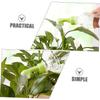 DOITOOL Watering Can Sprinkler Heads for Garden Flowers and Plants, 6-Piece Plastic Spray Nozzles, 2.2 cm Diameter, Fine Watering view 4