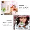 TEHAUX 2-Piece Miniature Potted Bonsai Plants for Dollhouses view 4