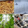 Heavy-Duty Garden Mesh, Reusable Plastic Mesh Fence and Animal Barrier for Rabbits, Goats and Deer (1.3 x 50 m / 4.26 x 164 ft) view 2