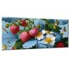 Paint by Numbers Kit for Adults and Children 7+, Strawberry, 70 x 140 cm, w0-868 view 1