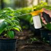 Powder Duster Applicator with Telescopic Garden Dispenser view 2