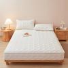 Soft Zippered Mattress Cover, Mattress Protector, Breathable, Washable, Five-Sided Quilted Fitted Sheet, 105 x 200 + 20 cm view 2