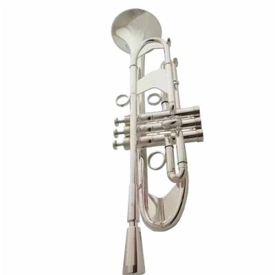 Professional Silver-Plated B-Flat Trumpet for Beginners