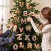 Gingerbread Alphabet Letter Ornaments, Candy Cane Initials with Berry Pattern (F) view 3