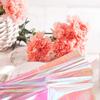 Iridescent Cellophane Gift Wrap, 40 Sheets, Modern view 4