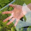 Transparent Waterproof Tarp 145 x 500 cm, 400 g/m², with Reinforced Rubber Corners view 4
