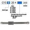 WATTSBVD CY3B Rodless Pneumatic Cylinder with Magnetic Coupling, 300 mm Stroke, CY3B32 view 4
