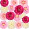 Tissue Paper Pom-Poms, 16-Pack, Pink, Hanging Paper Flower Decor view 1