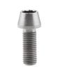 1-Pc Titanium Conical-Head Hex Socket Screw M5 x 30 for Bicycle Stem and Seat Post, with Hex Key view 1