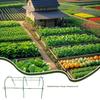 Flexible Wind-Resistant Tunnel Greenhouse Garden Hoop view 2
