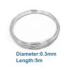 304 Stainless Steel Beading Wire for Crafts, 5 m, 0.3 mm view 2