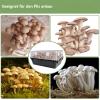 Mushroom Filter Patches, 24 Plant Cotton Pads view 4