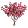 Colcolo 20-Piece Artificial Red Berry Picks, Snow-Covered Christmas Ornaments for DIY Crafts view 1