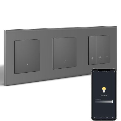 BSEEDLIFE Smart WiFi Light Switch and Dimmer, 2 Single-Gang Wall Switches + 1 Dimmer, Alexa/Google Home Compatible, Gray