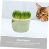 SHINEOFI Plastic Hydroponic Cat Grass Double-Chamber Planter view 4