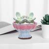 PLAFOPE Large Round Red Sand Planter in Retro Style for Succulents view 3