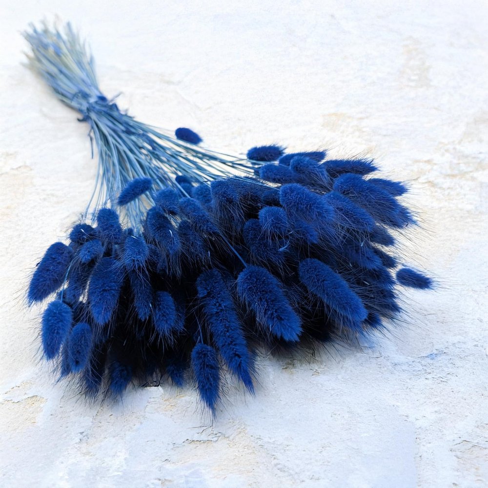 Enchanted Dried Decorative Grass, Bunny Tails (Lagurus ovatus), 120–150 Stems, 100 g, Dark Blue