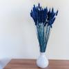 Enchanted Dried Decorative Grass, Bunny Tails (Lagurus ovatus), 120–150 Stems, 100 g, Dark Blue view 4