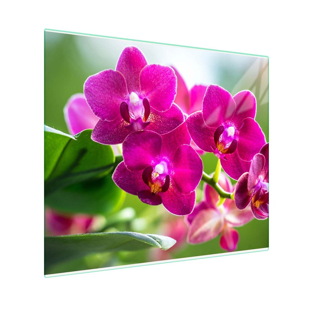 SFArt Glass Stove Cover, 1-Piece, 80 x 52 cm, Tempered Glass Cutting Board & Ceramic Hob Cover, Hygienic & Non-Slip, Protection for Induction and Ceramic Hobs, Old Roses