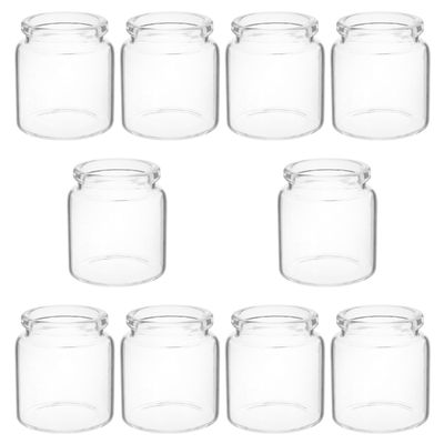 Anneome 10-Pack Small Clear Glass Vases and Propagation Jars for Succulents