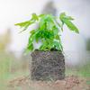 KOMBIUDA Stainless Steel Mesh for Plant Root Protection and Garden Pipe Filtration, Silver view 3
