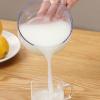 Cheese Press Filter Sieve view 2
