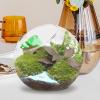 Round Fishbowl Terrarium Vase view 2