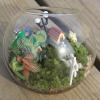 Round Fishbowl Terrarium Vase view 3