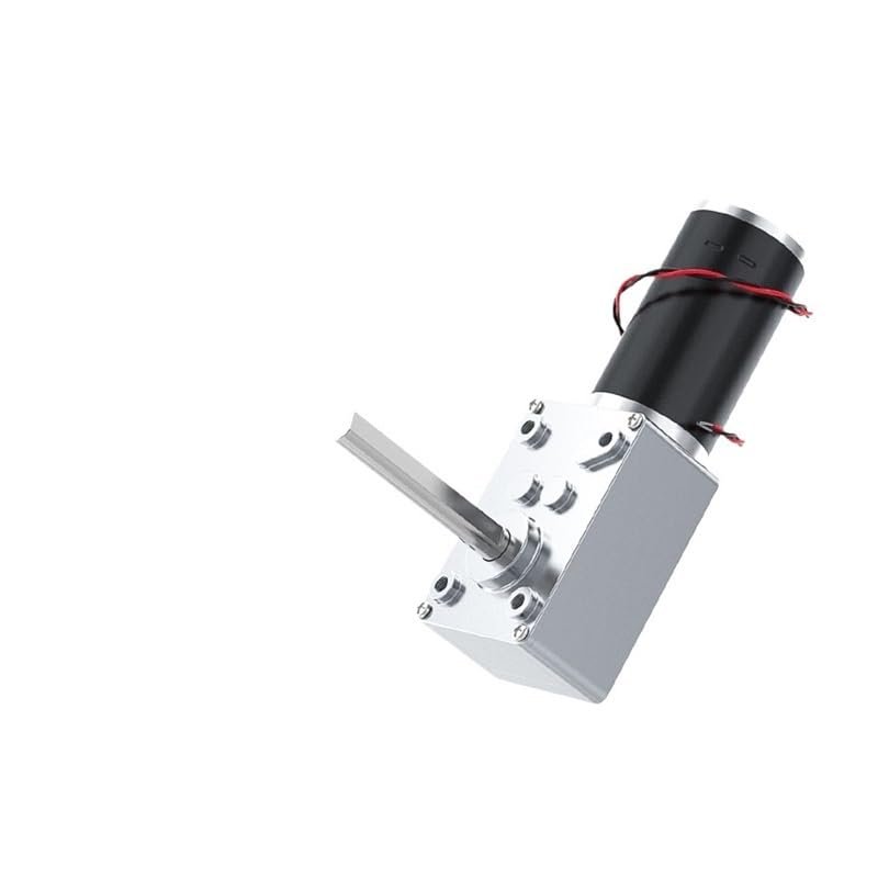 BYLSAGWHT Bracket 12 V 258 RPM 5840-31ZY Worm Gear DC Motor, Electronic Starter, Self-Locking, Forward and Reverse, 51 mm