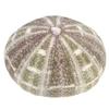 Sosoport 2-Piece Natural Dried Sea Urchin Shells, 9–11 cm, Handmade Small Air Plant Pots and Table Ornaments for Home, Office, or Bedroom view 1