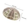 Sosoport 2-Piece Natural Dried Sea Urchin Shells, 9–11 cm, Handmade Small Air Plant Pots and Table Ornaments for Home, Office, or Bedroom view 2