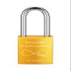 Lpraer Personalized Engraved Love Lock with Key, Small Padlock view 1