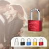 Lpraer Personalized Engraved Love Lock with Key, Small Padlock view 2